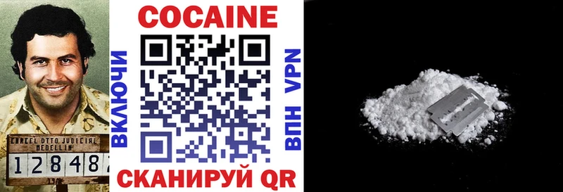 Купить закладки  Тында  Cocaine 98% 