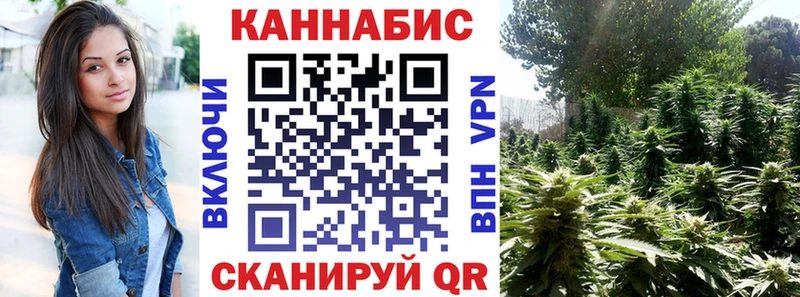 Купить  Тында  Конопля семена 